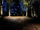 Landscaped backyard at night with lighting at 5224 Se 44Th Cir, Ocala, FL 34480