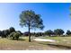 View of a tree and sand trap on the golf course at 15440 Sw 14Th Avenue Rd, Ocala, FL 34473