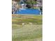 Two sandhill cranes by a lake in a sunny Florida landscape at 15440 Sw 14Th Avenue Rd, Ocala, FL 34473