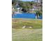Two sandhill cranes graze in a grassy field overlooking a lake at 15440 Sw 14Th Avenue Rd, Ocala, FL 34473