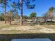 Private backyard with grassy area and mature trees at 10856 Sw 79Th Ave, Ocala, FL 34476