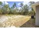 Spacious backyard with natural landscape, providing a tranquil setting at 117 Nw Sparrow Rd, Dunnellon, FL 34431