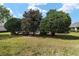 Landscaped backyard featuring well-maintained shrubs at 12531 Se 90Th Ter, Summerfield, FL 34491