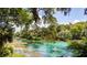 Crystal-clear river with people swimming and paddleboarding at 19173 St Benedict Dr, Dunnellon, FL 34432