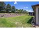 Spacious backyard with grassy lawn and privacy landscaping at 7617 Sw 96Th Avenue Rd, Ocala, FL 34481