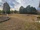 Spacious backyard with mature trees and landscaping at 8009 County Road 109D, Lady Lake, FL 32159