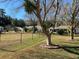 Large backyard with chain link fence and trees at 8340 Sw 108Th Place Rd, Ocala, FL 34481