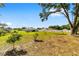 Beautiful large backyard perfect for outdoor activities, landscaping and enjoying nature at 10871 Sw 62Nd Avenue Rd, Ocala, FL 34476