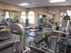 Well-equipped fitness center with cardio and weight machines at 11752 Sw 139Th St, Dunnellon, FL 34432