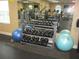 Fitness center includes dumbbells and exercise balls at 11752 Sw 139Th St, Dunnellon, FL 34432