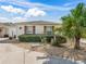 A tidy front yard with a palm tree and low maintenance landscaping, beautiful curb appeal at 17163 Se 76Th Boxbury Ct, The Villages, FL 32162