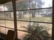 View from sunroom showcasing backyard and trees at 10814 Sw 83Rd Ave, Ocala, FL 34481