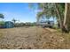 Large backyard with shed and camper at 17175 Ne Jacksonville Rd, Citra, FL 32113