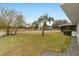 Landscaped backyard with palm tree and fence at 5041 County Road 114, Wildwood, FL 34785