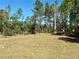 Buildable lot surrounded by lush trees at 6189 Sw 134Th St, Ocala, FL 34473