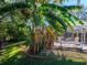 Poolside view with a large banana tree in the backyard at 8990 Se 178Th Muirfield Pl, The Villages, FL 32162