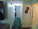 Hallway with carpet and access to bedrooms and bathroom at 4172 Ne 35Th Avenue Rd, Ocala, FL 34479