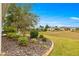 Landscaped backyard with mature trees and open green space at 7977 Sw 85Th Loop, Ocala, FL 34476