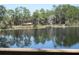 Serene lake with a dock and a covered picnic area, surrounded by tall trees, seen from the backyard at 13055 Ne 7Th Loop, Silver Springs, FL 34488