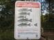 Sign about Largemouth Bass regulations at 13099 Ne 7 Loop, Silver Springs, FL 34488