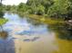 Beautiful clear river scene with a sandy bottom surrounded by lush green trees at 13099 Ne 7 Loop, Silver Springs, FL 34488