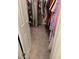 Walk-in closet with ample hanging space and neutral carpet at 15155 Sw 52 Cir, Ocala, FL 34473