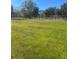 Large grassy pasture with wooden fence at 15315 Nw 115Th Ct, Reddick, FL 32686