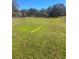 Large open pasture area at 15315 Nw 115Th Ct, Reddick, FL 32686