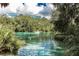 Scenic river view with boats and lush vegetation at 18300 Sw 69 Loop, Dunnellon, FL 34432