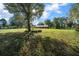 Spacious backyard with large oak trees and grassy lawn at 2645 Se 162Nd Place Rd, Summerfield, FL 34491