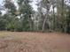 Wooded backyard view with mature trees at 8623 Sw 108Th Place Rd, Ocala, FL 34481