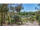 Scenic view of a serene lake surrounded by lush greenery and palm trees on a sunny day at 16450 Se 57Th Pl, Ocklawaha, FL 32179