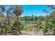 Stunning lake view with lush greenery, palm trees, and lily pads under a clear blue sky at 16450 Se 57Th Pl, Ocklawaha, FL 32179