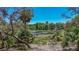 Beautiful lake view with abundant greenery, palm trees and clear blue skies on a sunny day at 16450 Se 57Th Pl, Ocklawaha, FL 32179