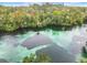 Aerial view of a beautiful river with lush vegetation on either side at 19660 Sw 83Rd Place Rd # C18, Dunnellon, FL 34432