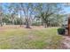 Open grassy backyard with mature trees and natural landscape at 19660 Sw 83Rd Place Rd # C18, Dunnellon, FL 34432