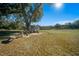 Spacious backyard with shed and large oak tree at 4248 Ne 175Th Street Rd, Citra, FL 32113