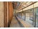 Spacious dog kennels with individual runs at 4248 Ne 175Th Street Rd, Citra, FL 32113