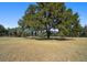 Large pasture with oak trees at 4248 Ne 175Th Street Rd, Citra, FL 32113