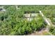 An aerial view shows new homes situated on spacious lots with mature trees at 6877 Sw 131St Cir, Ocala, FL 34481