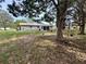 Spacious backyard with room for outdoor activities at 7632 Sw 112Th Ln, Ocala, FL 34476