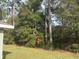 Private backyard with lush greenery and mature trees at 7661 Sw 180Th Cir, Dunnellon, FL 34432