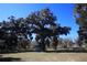 Large backyard with mature oak trees and detached garage at 9340 Sw 9Th Ter, Ocala, FL 34476
