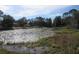 Scenic view of a lake with lily pads and waterfront homes at 18782 Se 50Th St, Ocklawaha, FL 32179