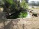 Small, kidney-shaped pond with stone border at 18782 Se 50Th St, Ocklawaha, FL 32179