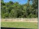 Green trees in the distance as seen through a window from inside the house at 2210 Nw 23Rd Loop, Ocala, FL 34475
