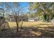 Spacious backyard with mature trees at 43 Teak Crse, Ocala, FL 34472