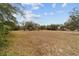 Open field with mature trees and distant homes at 9185 Sw 197Th Cir, Dunnellon, FL 34432