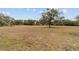 Large field with scattered trees at 9185 Sw 197Th Cir, Dunnellon, FL 34432