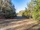 Wooded pasture with a path leading through the trees at 2821 Se 80Th St, Ocala, FL 34480